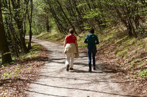 Two individuals enjoying a leisurely walk down a sun-dappled path through the woods, advised by their heart doctor from the Cardiovascular Institute of the South as part of their cardiology-recommended exercise