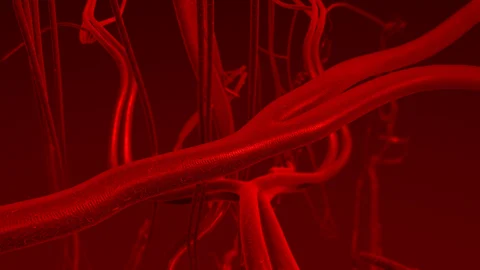 Red-tinted close-up view at the Cardiovascular Institute of the South, highlighting the intricate pathways of the heart health circulatory system.