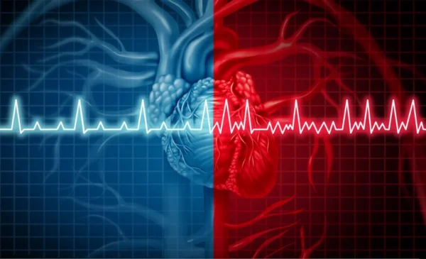 An artistic representation of a human heart bisected into blue and red halves with an overlay of an EKG heartbeat line, symbolizing cardiovascular health and function, from the Cardiovascular Institute of the South.