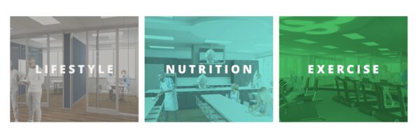 Three panels depicting key components of wellness: "lifestyle" showing a casual meeting in an office space, "nutrition" featuring a group discussion around a table possibly about healthy eating, and "exercise