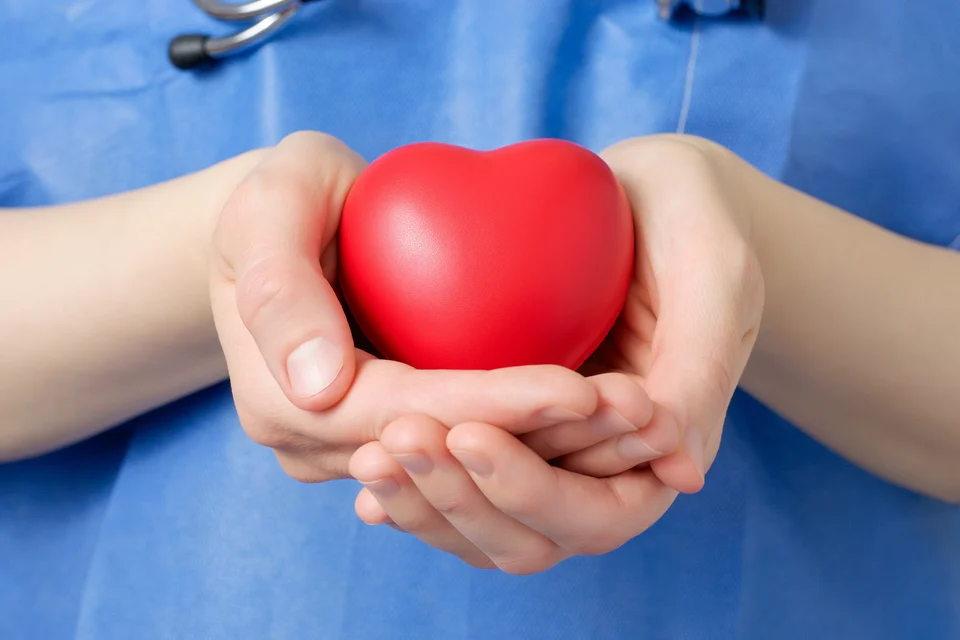 A healthcare professional specializing in heart health, clad in blue scrubs, cradles a red heart in their hands, symbolizing care and compassion in medicine.