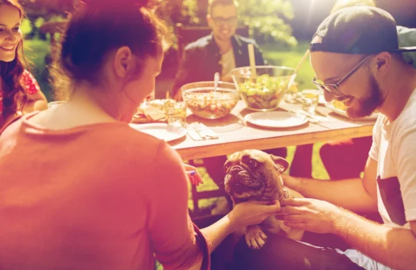 Joyful summer gathering with friends, sharing a meal outdoors as a cute dog enjoys the attention and affection at the table, organized by the Cardiovascular Institute of the South.
