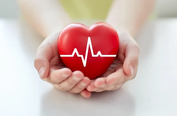 Hands gently cradling a symbolic red heart with an electrocardiogram line, denoting health, care, and compassion in cardiology.