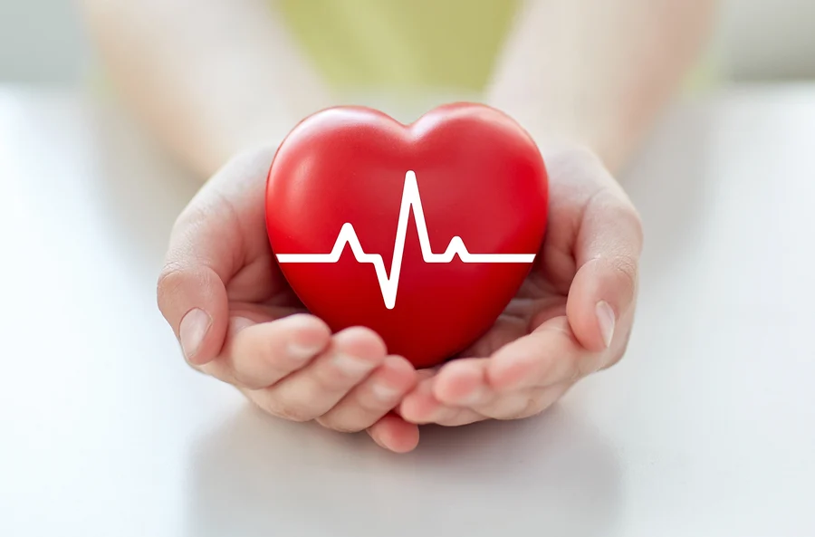 Hands gently cradling a symbolic red heart with an electrocardiogram line, denoting health, care, and compassion in cardiology.