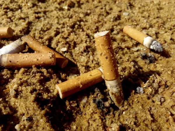 Discarded cigarette butts strewn across the sandy ground, a reminder of pollution's small yet pervasive footprint on heart health.
