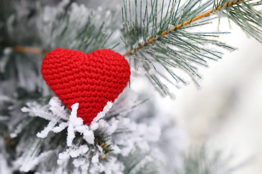 A handmade red heart ornament nestled among frost-covered pine branches, evoking warmth and love in a cold winter setting, symbolizes the cardiology of nature's beauty.
