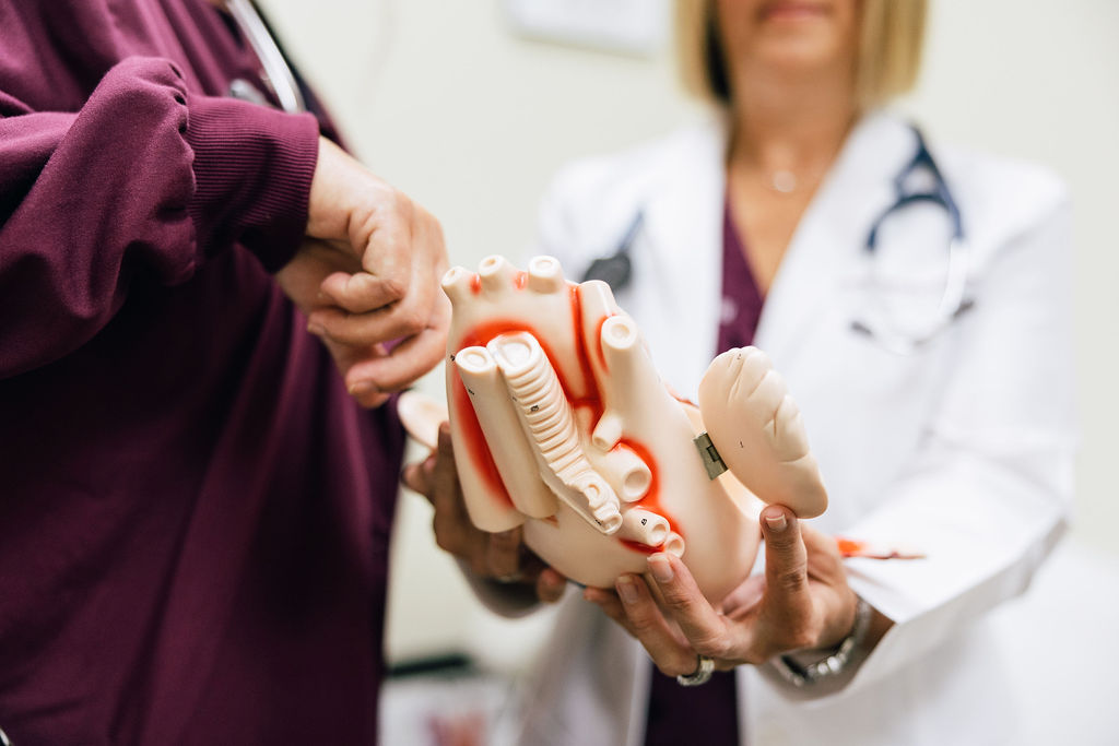 Cardiovascular doctor looking at anatomical model of a heart
