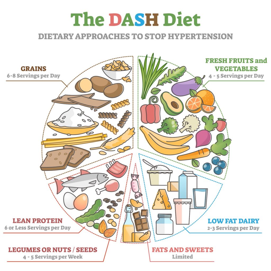The DASH food diet as dietary approach to stop hypertension outline diagram.